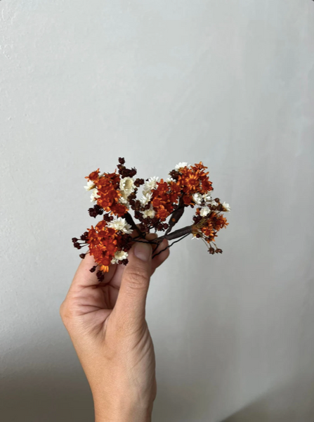 Fall dried burnt orange rusty hairpins