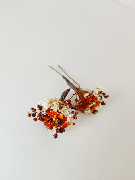 Fall dried burnt orange rusty hairpins