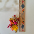 il_fullxfull.5049957955_3pz9.jpg