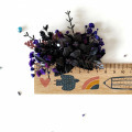 il_fullxfull.6270201662_3apa.jpg