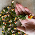 il_fullxfull.2449150906_gbb7.jpg