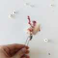 il_fullxfull.5915008298_m6cy.jpg
